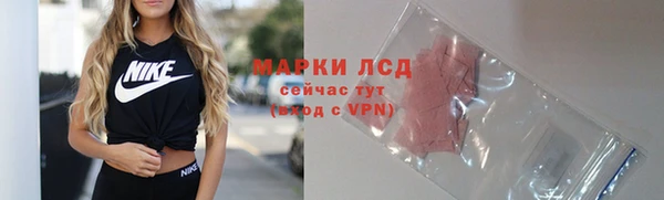 СК Болотное