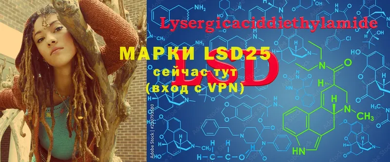 наркота  Порхов  LSD-25 экстази ecstasy 