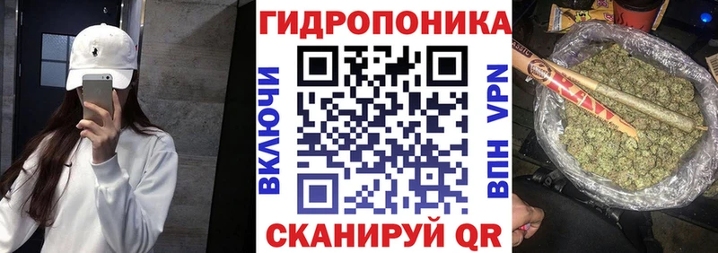 hydra ссылки  купить наркоту  Порхов  Марихуана LSD WEED 